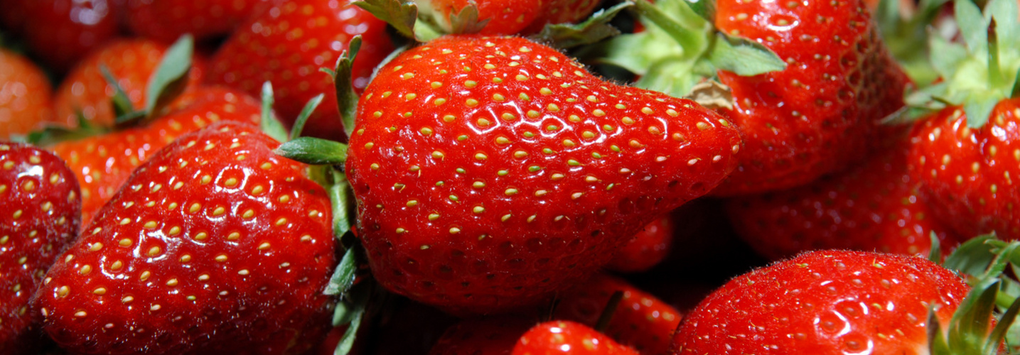 Fraises de Carpentras