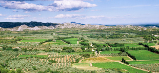 Agriculture