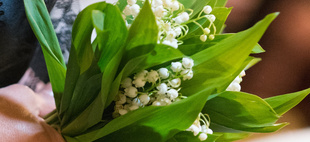 un brin de muguet